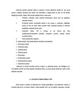 Diplomdarbs 'Klientu piesaiste', 10.