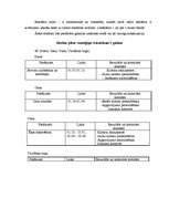 Diplomdarbs 'Klientu piesaiste', 43.