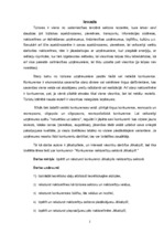 Referāts 'Konkurence naktsmītņu sektorā Jēkabpilī', 2.