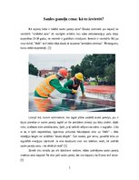 Konspekts 'Saules paneļu cena: kā to izvērtēt?', 1.