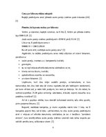 Konspekts 'Saules paneļu cena: kā to izvērtēt?', 6.