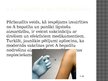 Prezentācija 'A hepatīts', 15.