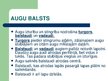 Prezentācija 'Balsts un kustības', 3.