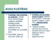 Prezentācija 'Balsts un kustības', 5.
