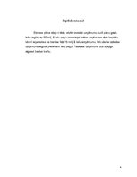 Biznesa plāns 'Studiju darba biznesa plāns', 4.