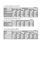 Biznesa plāns 'Studiju darba biznesa plāns', 12.