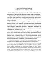 Referāts 'Ieskats tūrisma vēsturē Latvijā ', 11.