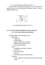 Referāts 'NISSAN 200SX S13 dzinēja demontāža, montāža un defektēšana', 10.