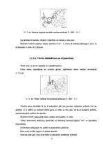 Referāts 'NISSAN 200SX S13 dzinēja demontāža, montāža un defektēšana', 13.