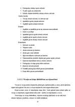 Referāts 'NISSAN 200SX S13 dzinēja demontāža, montāža un defektēšana', 19.