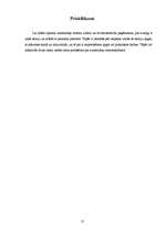 Referāts 'NISSAN 200SX S13 dzinēja demontāža, montāža un defektēšana', 31.