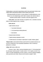 Referāts 'Drošības pasākumi un riska faktori transporta līdzekļa kustībā', 3.