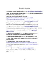 Referāts 'Drošības pasākumi un riska faktori transporta līdzekļa kustībā', 33.