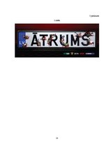 Referāts 'Drošības pasākumi un riska faktori transporta līdzekļa kustībā', 38.