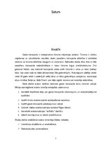 Referāts 'Gaisa transporta loma tūrismā Latvijā', 2.