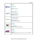 Referāts 'Gaisa transporta loma tūrismā Latvijā', 29.