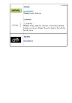 Referāts 'Gaisa transporta loma tūrismā Latvijā', 30.