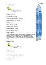 Referāts 'Gaisa transporta loma tūrismā Latvijā', 31.