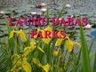 Prezentācija 'Laumu dabas parks', 1.