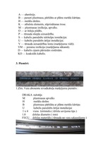 Konspekts 'Simetrisko kabeļu marķējumi', 6.