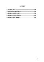 Referāts 'Projekts', 2.