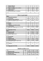 Referāts 'Projekts', 8.