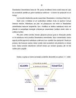 Diplomdarbs 'A/S “Hansabanka” elektroniskie norēķini', 86.