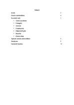 Referāts 'Privātmājas apkure', 2.