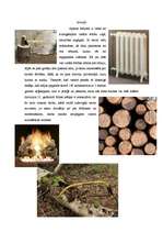 Referāts 'Privātmājas apkure', 3.