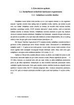 Referāts 'Smēķēšanas ietekme uz organismu', 6.