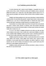 Referāts 'Smēķēšanas ietekme uz organismu', 13.