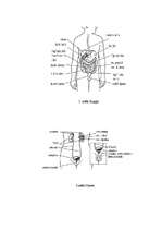 Referāts 'Smēķēšanas ietekme uz organismu', 23.