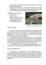 Referāts 'Atkritumu apsaimniekošana Ziemeļvidzemes reģionā', 7.