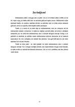 Referāts 'Medikamentu bīstamība', 14.