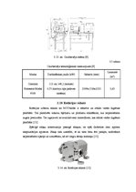 Prakses atskaite 'Ābolu biezeņa bērniem ražošana', 17.