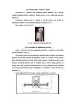 Prakses atskaite 'Ābolu biezeņa bērniem ražošana', 18.