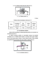 Prakses atskaite 'Ābolu biezeņa bērniem ražošana', 19.