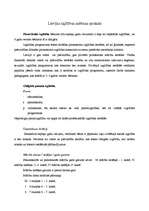 Eseja 'Latvijas izglītītības sistēma', 1.