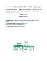 Konspekts 'Hemostātiskais sūklis', 4.