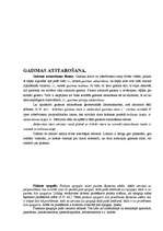 Referāts 'Gaisma', 3.