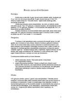 Referāts 'Resnās zarnas divertikuloze', 1.