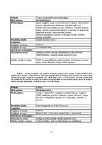 Referāts 'Kas ir e-bizness?', 11.