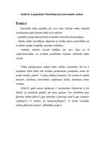 Konspekts 'Organizācijas analīze - Nacionālais teātris', 3.