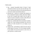 Konspekts 'Organizācijas analīze - Nacionālais teātris', 4.