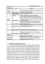 Biznesa plāns 'SIA "METEORA"', 11.