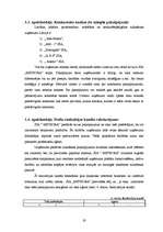 Biznesa plāns 'SIA "METEORA"', 19.