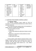 Biznesa plāns 'SIA "METEORA"', 20.