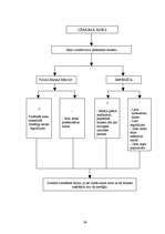 Biznesa plāns 'SIA "METEORA"', 39.