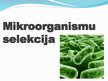 Prezentācija 'Mikroorganismu selekcija', 1.