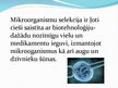 Prezentācija 'Mikroorganismu selekcija', 3.